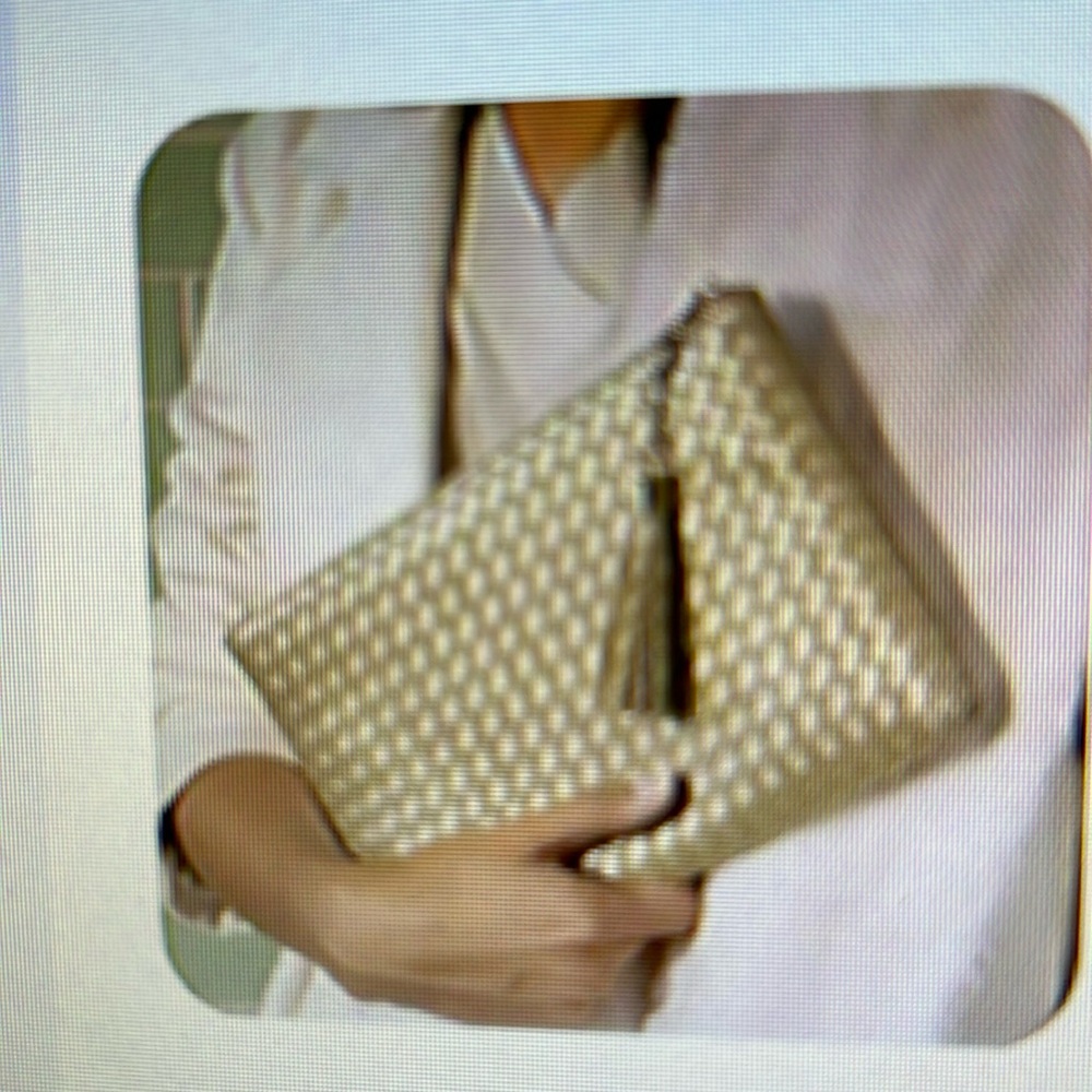Virginia Wolf mini woven pouch new
